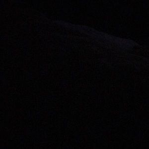 Meet your Posher, Alaina